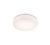 Philips Mist ceiling lamp white 2x15W 230V 32067/31/16