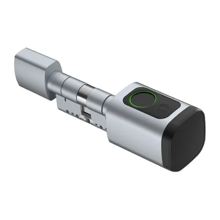 Wkładka do zamka cyfrowego Avatto SDL-V1-S100 100 mm Srebrny