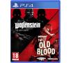 Wolfenstein: The New Order and The Old Blood PS4 / PS5