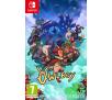 Owlboy  Nintendo Switch