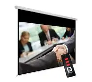 Екран електричний AVTek Business Electric 300P