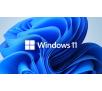 Program Microsoft Windows 10 Home 32/64 bit BOX USB PL USB P2 HAJ-00070