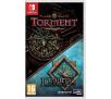 Planescape: Torment & Icewind Dale Enhanced Edition  Nintendo Switch
