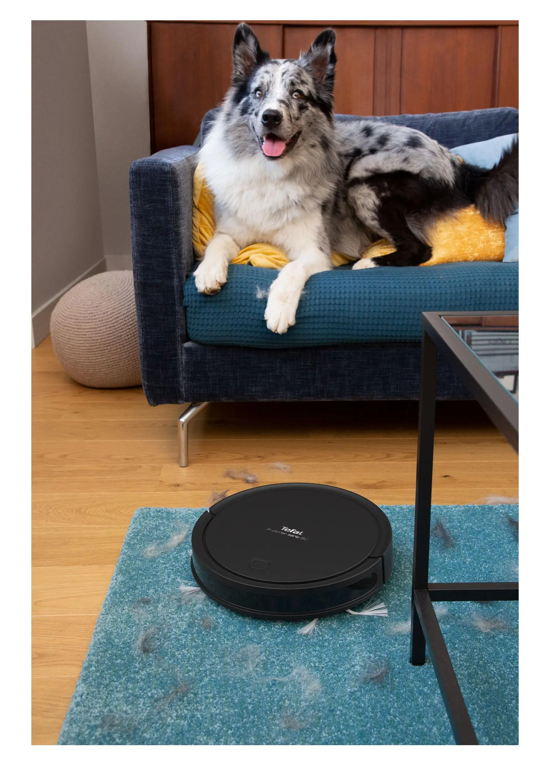Robot sprzątający Tefal X-Plorer Serie 50 RG7375 Funkcja mopowania 65dB