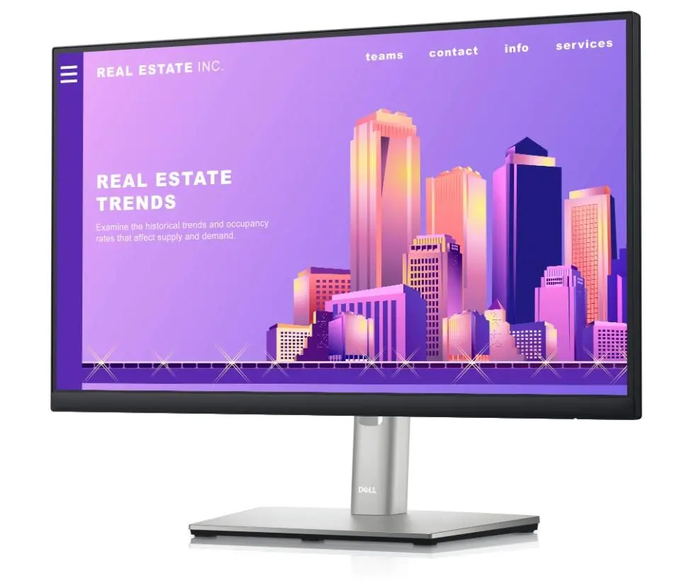 Monitor Dell P2422H 24" Full HD IPS 60Hz 8ms