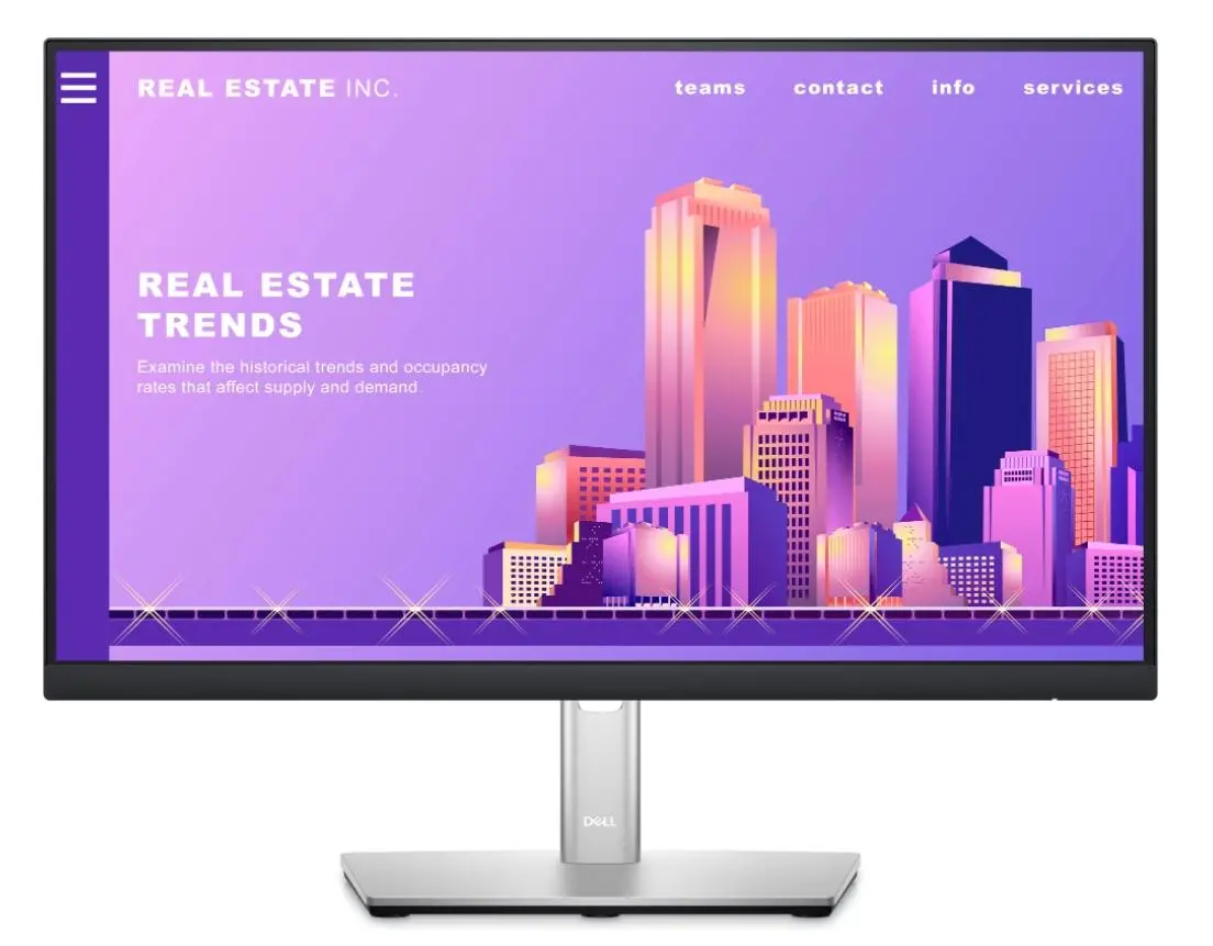 Monitor Dell P2422H 24" Full HD IPS 60Hz 8ms