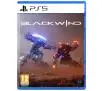 Blackwind Gra na PS5