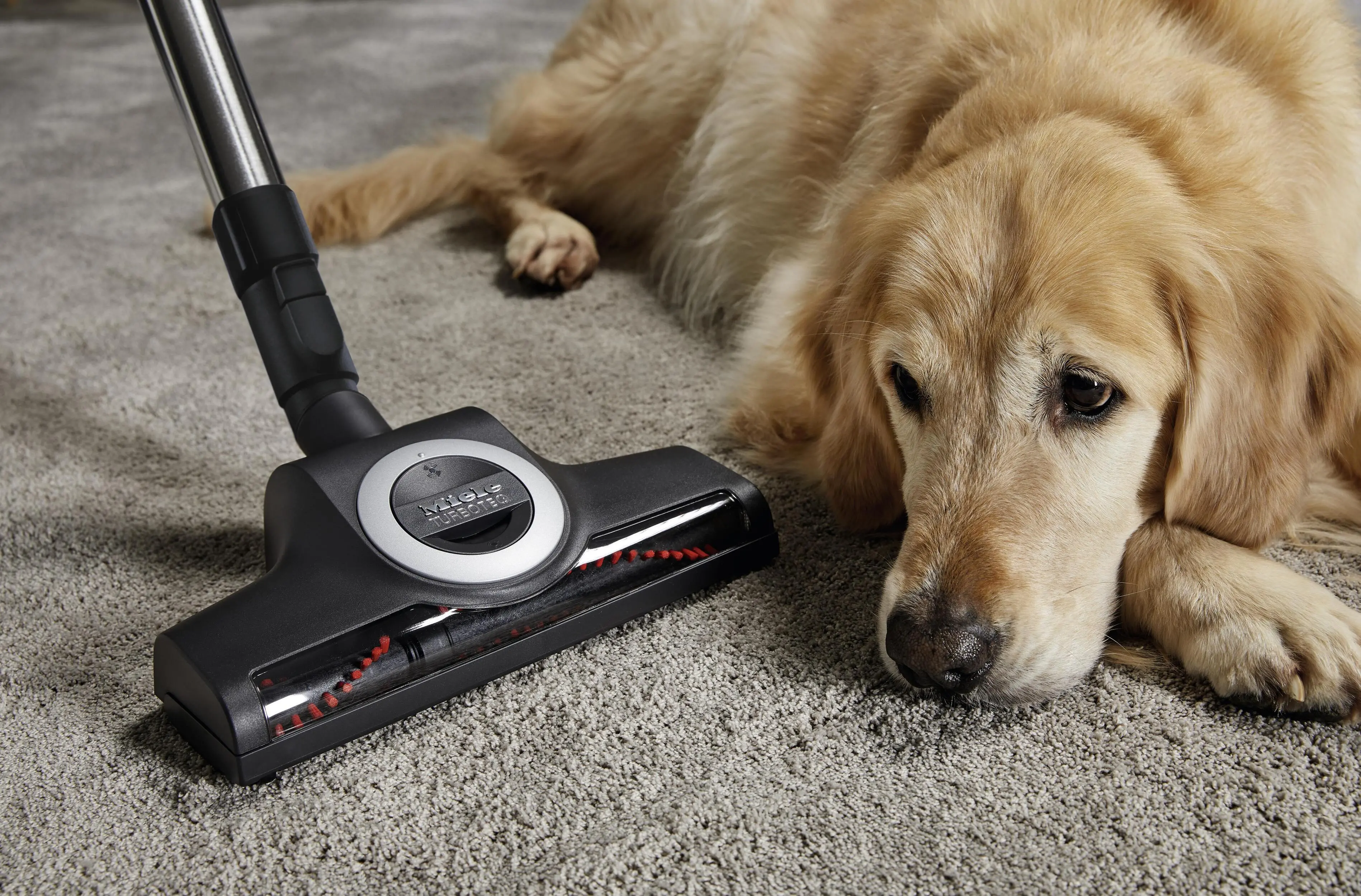 Odkurzacz Miele Complete C3 Cat&Dog Flex Power Line  890W Turboszczotka
