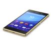 Sony Xperia M5 (złoty) + Smart Watch 2 (srebrny)