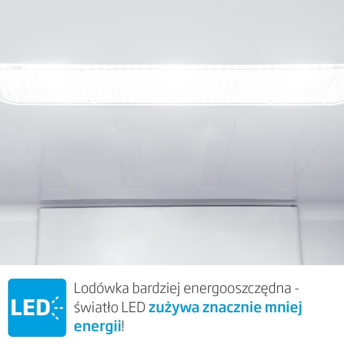 Lodówka Amica FK205.4