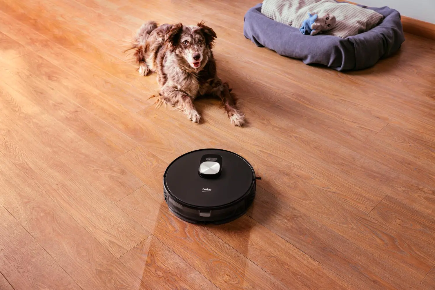 Robot sprzątający Beko RoboSmartPro VRR84314VB Funkcja mopowania Tworzenie mapy pomieszczenia 65dB