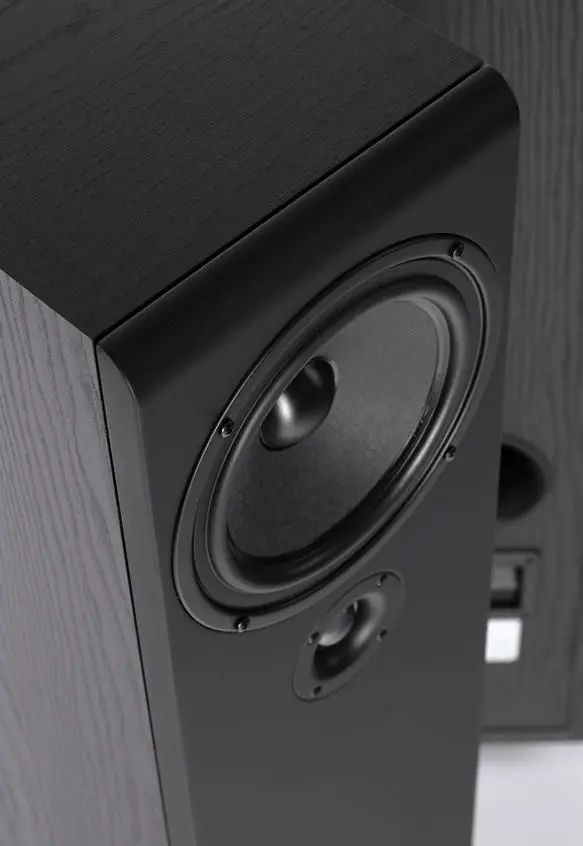 Kolumny Pylon Audio Opal 20 Czarny 2szt.