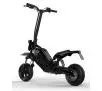 Hulajnoga elektryczna Acer Electrical Scooter Predator Extreme 350W 35km 10" Czarny