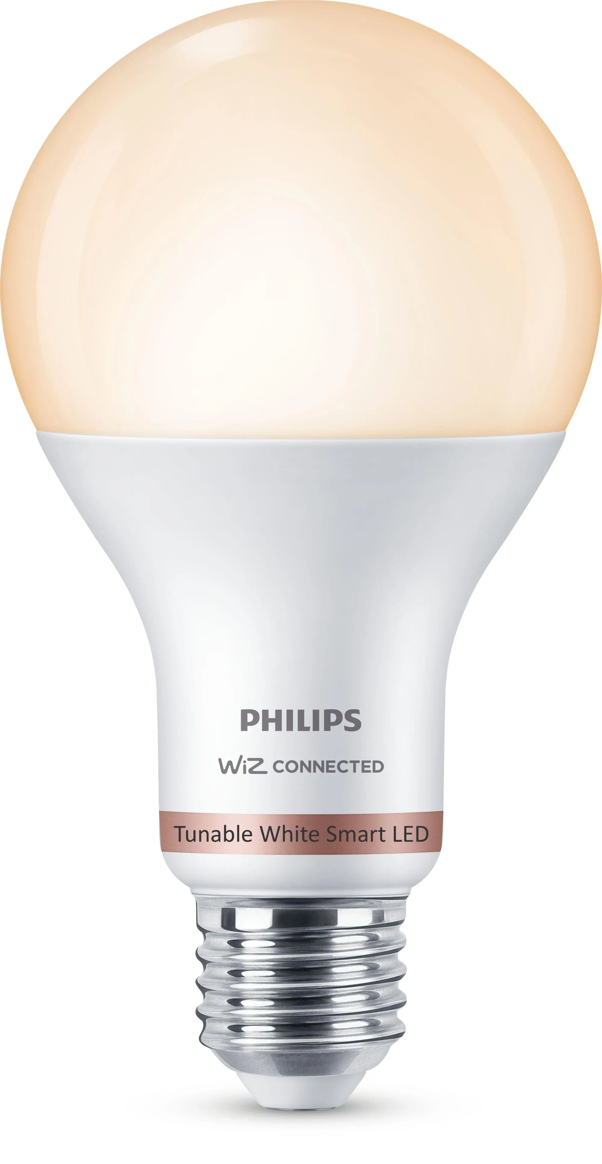 Żarówka LED Philips E27 A67 13W 100 W