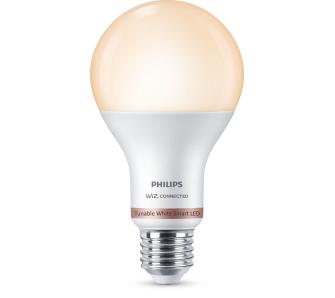 Żarówka LED Philips E27 A67 13W 100 W