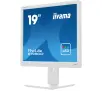 Monitor iiyama ProLite B1980D-W5 19" HD TN 60Hz 5ms