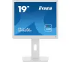 Monitor iiyama ProLite B1980D-W5 19" HD TN 60Hz 5ms