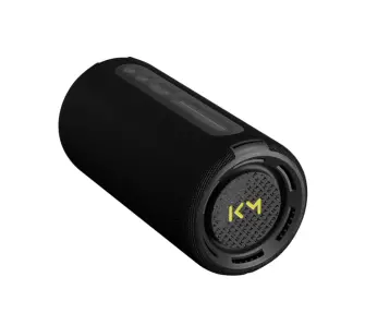 Głośnik Bluetooth We. by LOEWE We. HEAR pro 50W Czarny