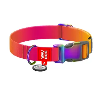 Obroża Waudog nylonowa Pomarańczowy