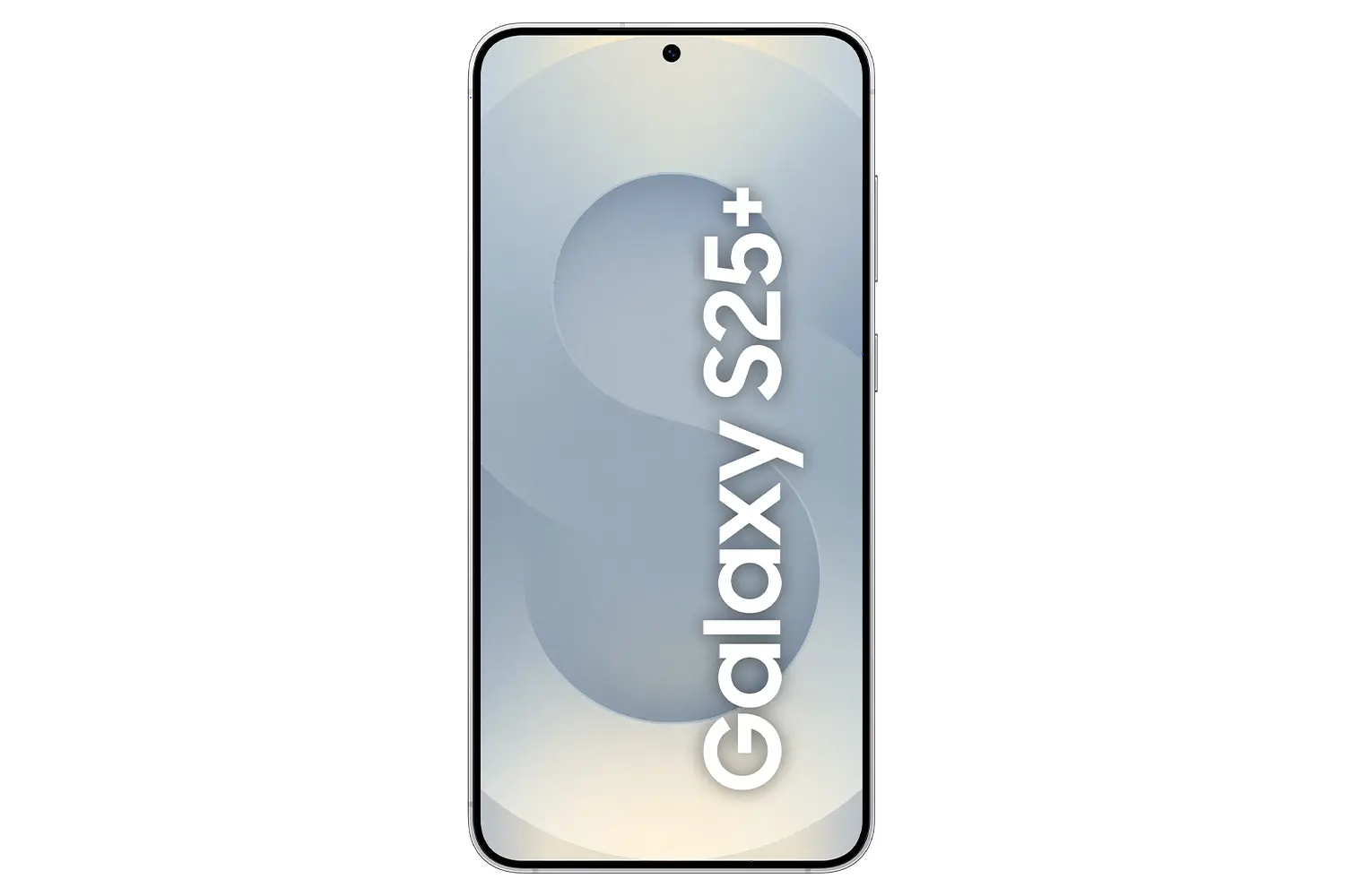 Samsung Galaxy S25+ 12/512GB Srebrny SM-S936