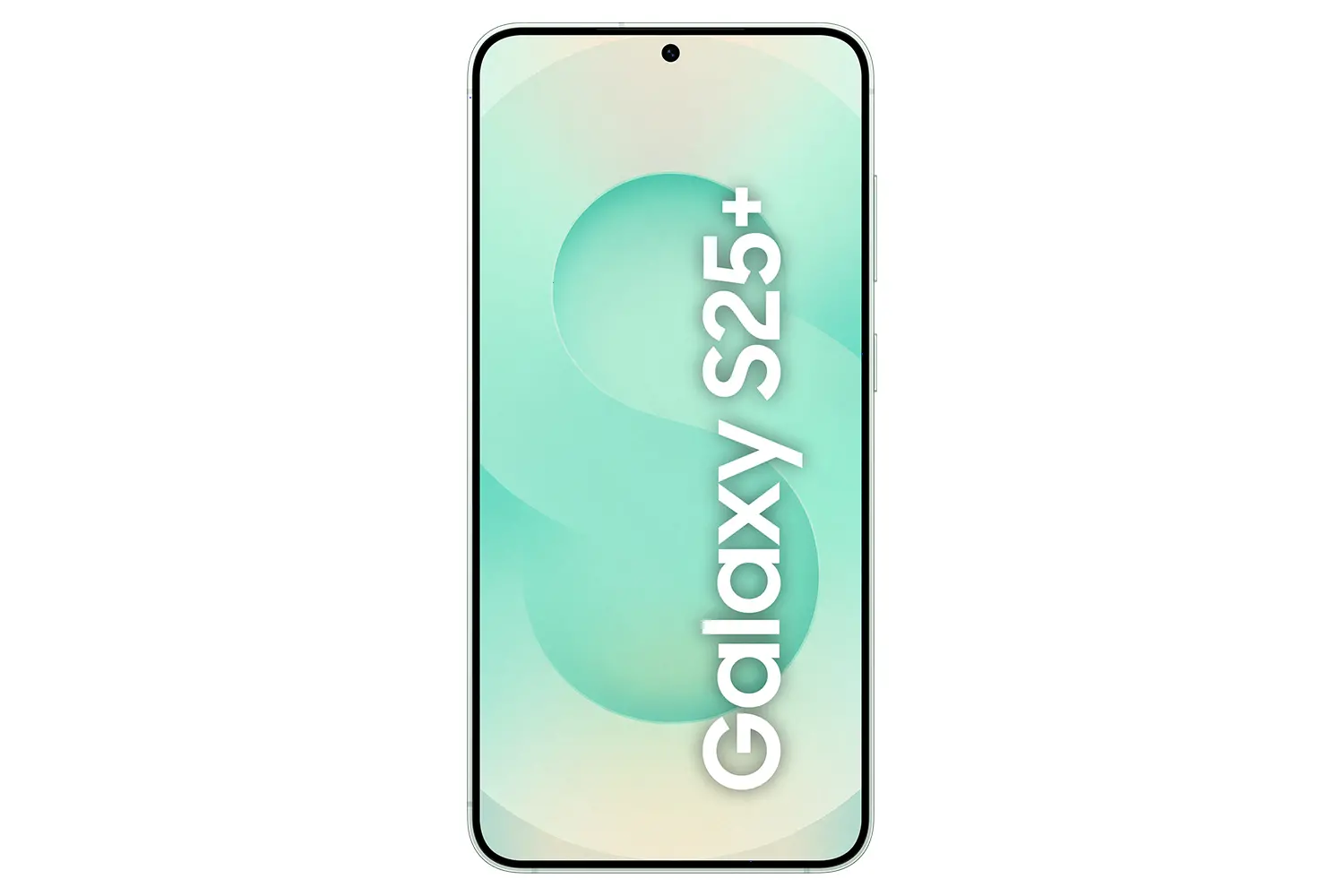 Samsung Galaxy S25+ 12/512 Zielony SM-S936
