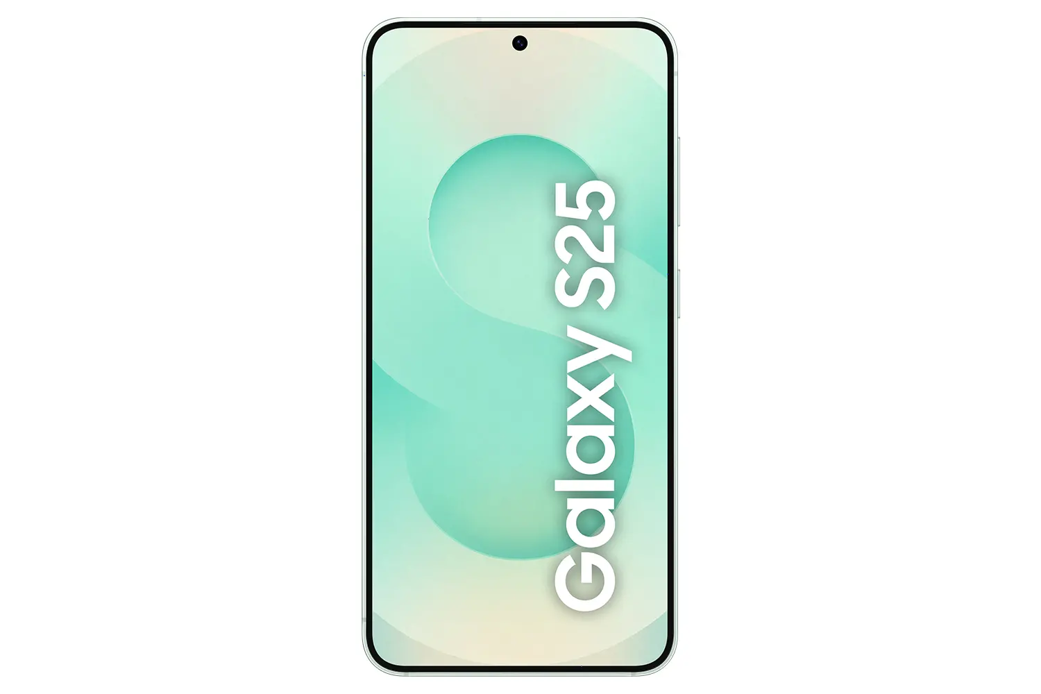 Samsung Galaxy S25 12/512GB Zielony SM-S931