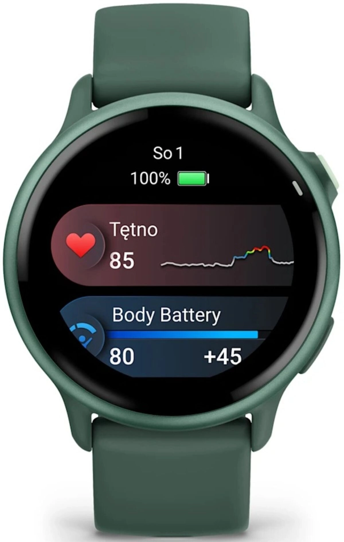 Smartwatch Garmin vivoactive 6 42mm Zielony