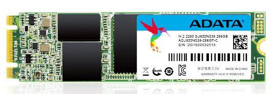Dysk Adata SU800 256GB