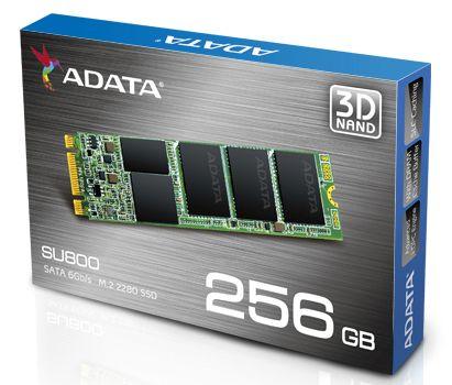 Dysk Adata SU800 256GB