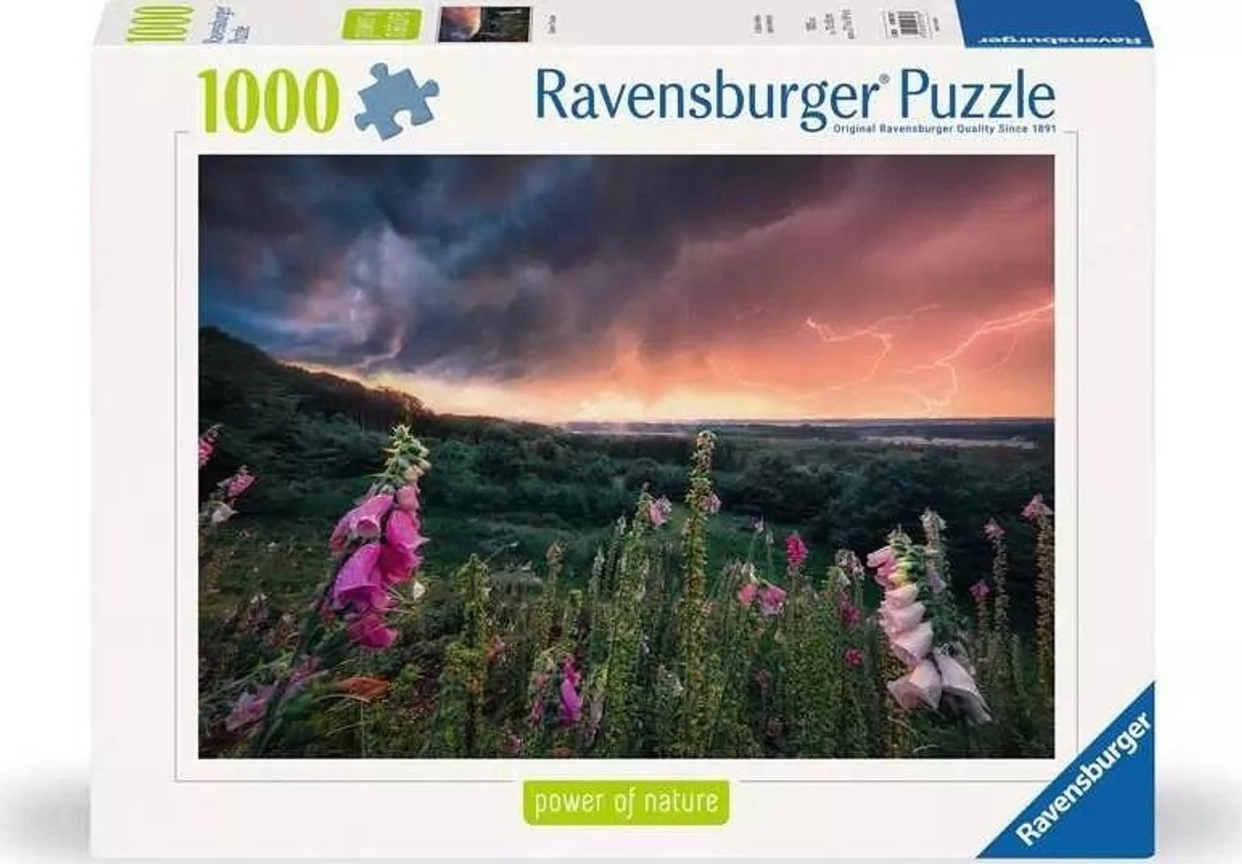 Puzzle Nadchodzi burza 1000 elementów