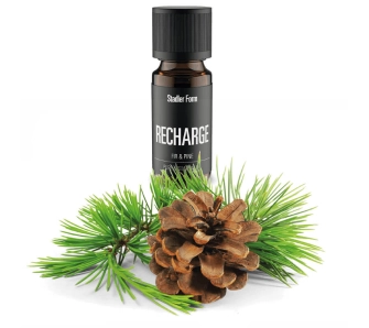 Olejek eteryczny Stadler Form Recharge