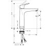 Hansgrohe Focus 31518000