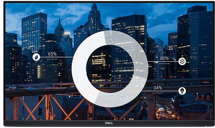 Dell P2419H-WOST (bez podstawy)