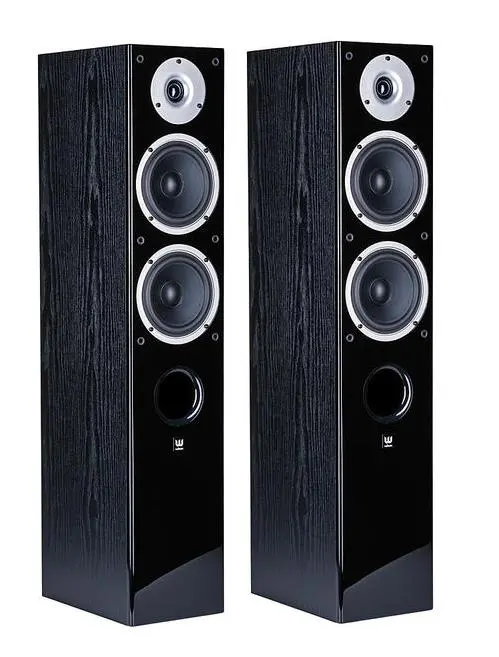 Kolumny Wilson Raptor 5 Czarny 2szt.