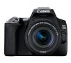 Lustrzanka Canon EOS 250D + obiektyw EF-S 18-55mm IS STM Czarny