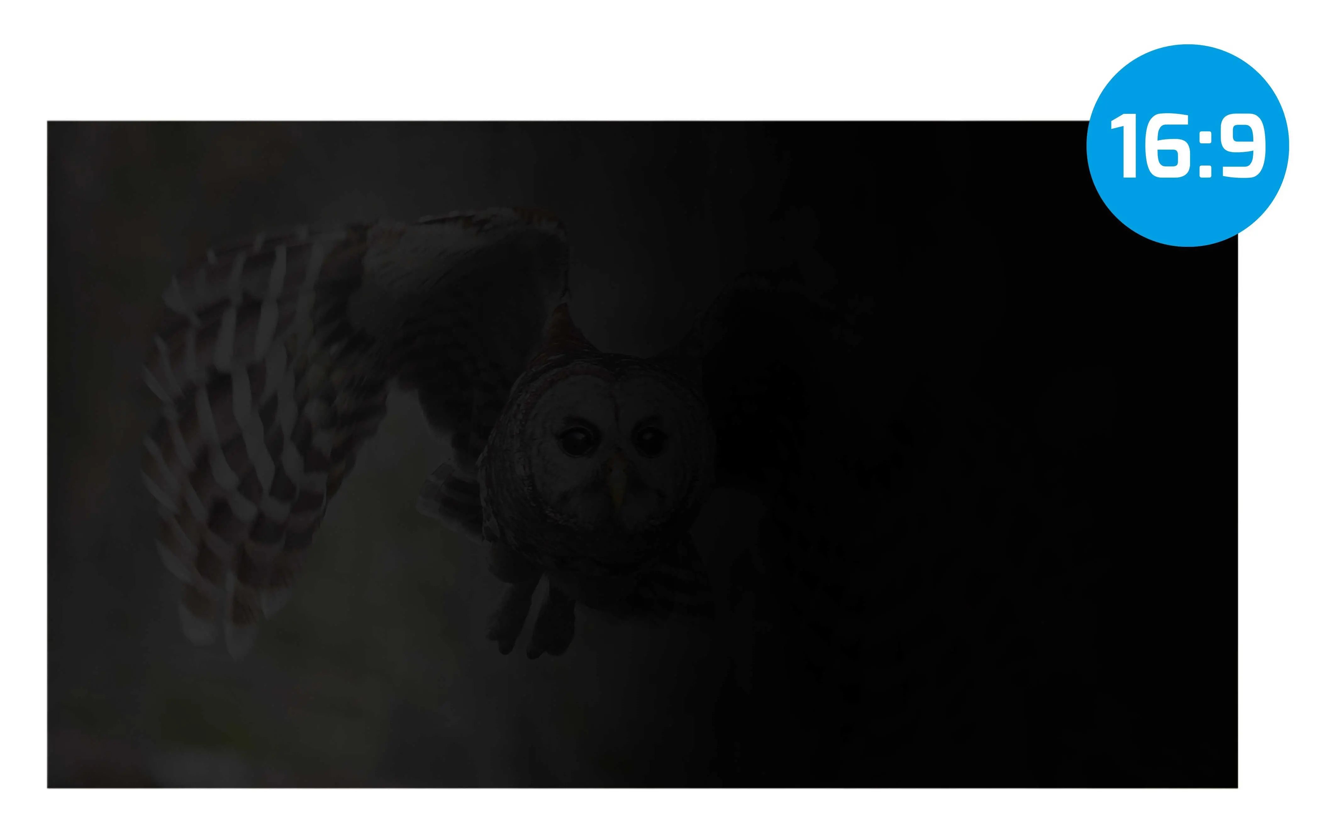 Filtr prywatyzujący Natec OWL 21,5" 16:9