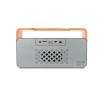 Głośnik Bluetooth Forever BS-600 (szaro-pomarańczowy)