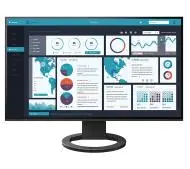 Eizo FlexScan EV2495 Czarny 24" Full HD IPS 60Hz 5ms