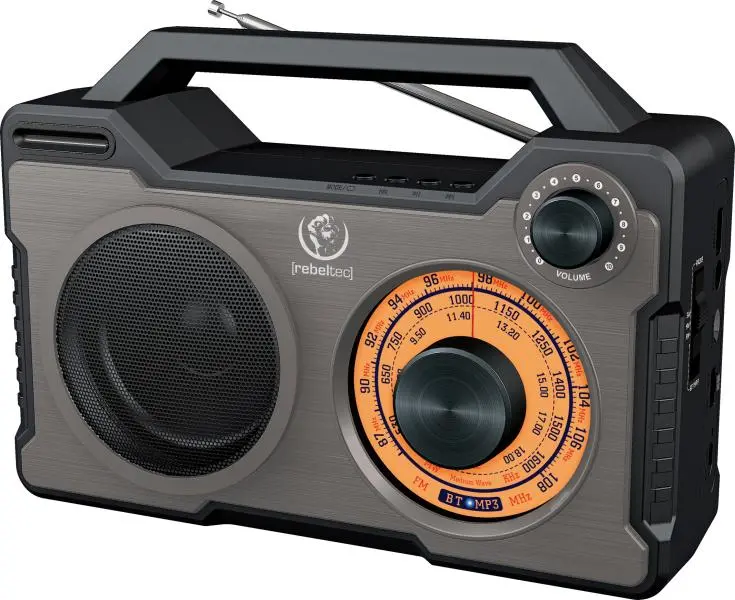 Rebeltec RODOS 10W Radio FM Czarno-srebrny