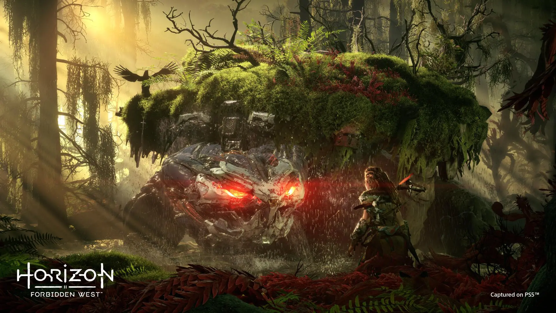 Horizon Forbidden West Edycja Specjalna Gra na PS5