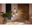 Żarówka LED Philips Hue White Ambiance Filament Edison E27 1 szt.