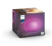 Philips Hue White and Colour Ambiance Flourish