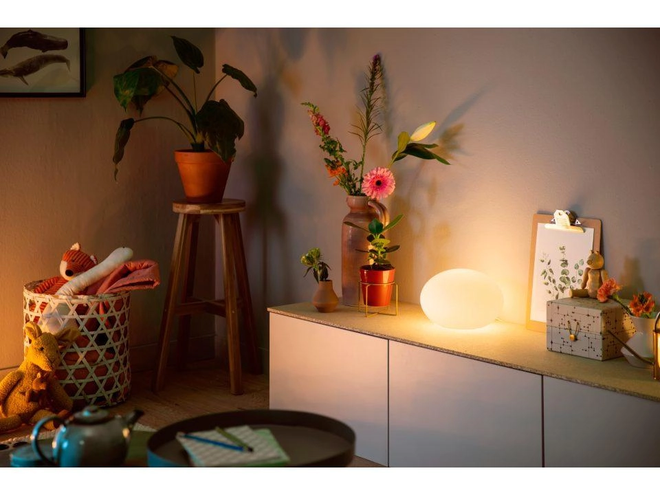 Philips Hue White and Colour Ambiance Flourish