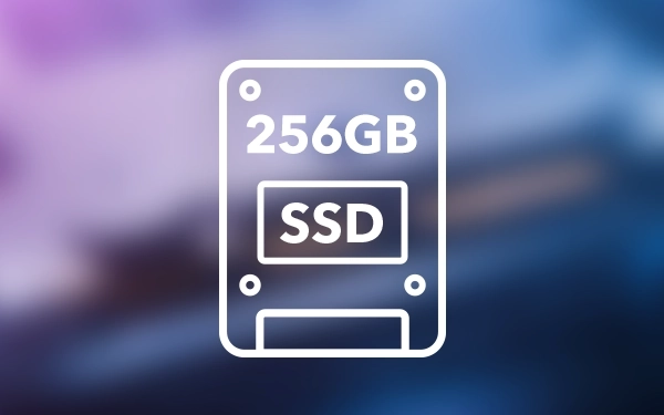 Піктограма твердотільного накопичувача (SSD) на 256 ГБ, що вказує на швидкий пристрій зберігання даних