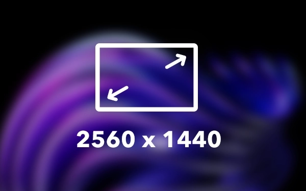 Подробности на изображении.