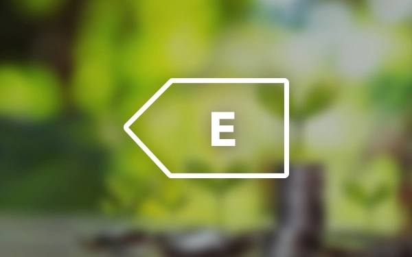 Символ енергетичного класу E, що стосується енергоефективності пристрою.