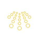 Вариант - Интенсивное полоскание