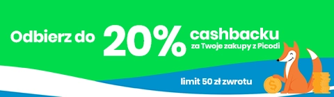 480x140 Picodi