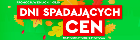 480x140 Dni spadających cen